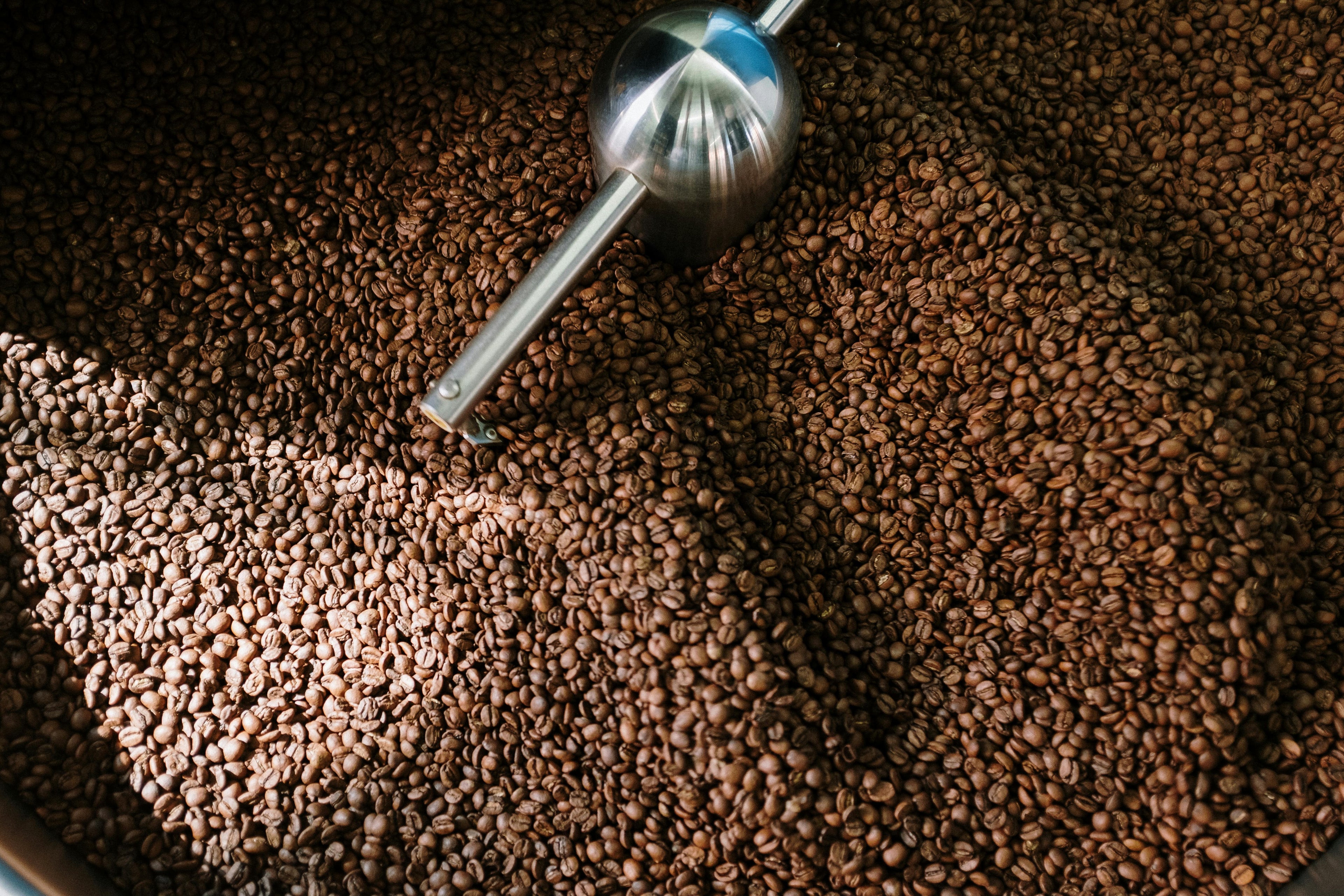 coffee roaster working for drip coffee bag